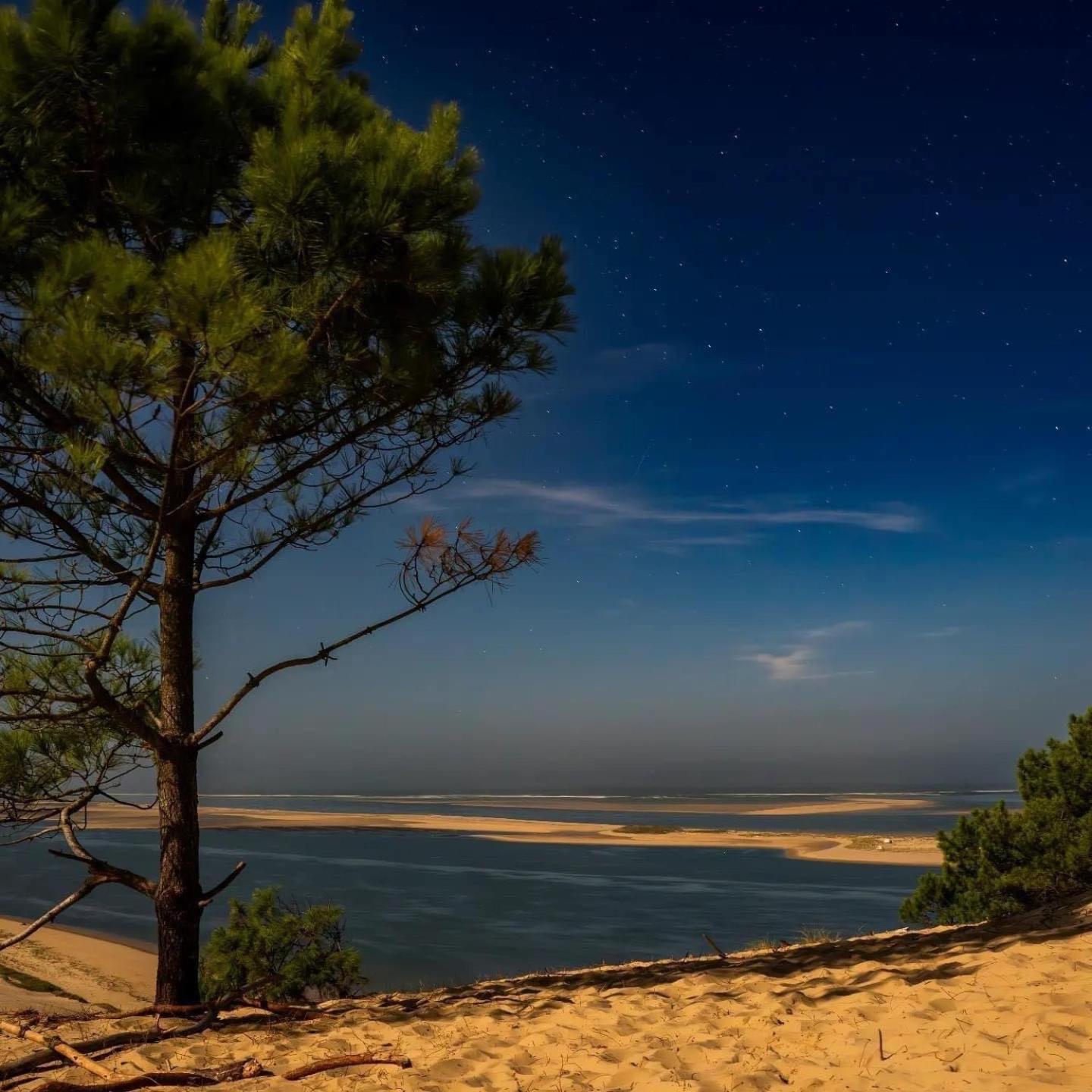 Cocon Entre Presqu'Ile Du Cap Ferret Et Plages Oceanes - Terrasse - 1 Velo Gratuit Ares Kültér fotó