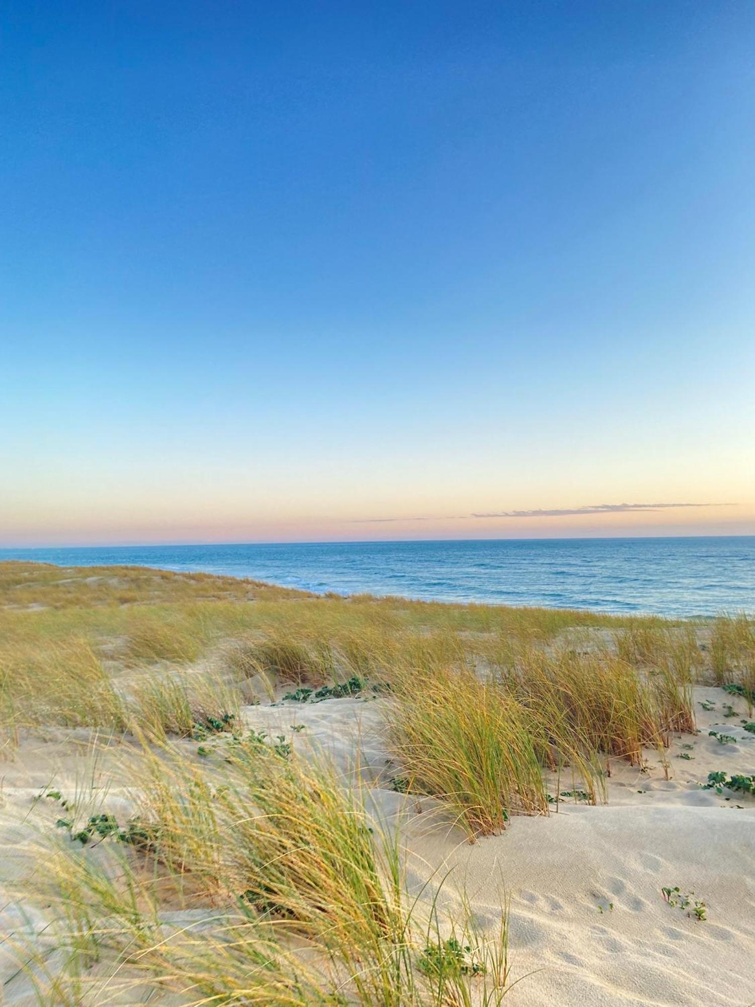 Cocon Entre Presqu'Ile Du Cap Ferret Et Plages Oceanes - Terrasse - 1 Velo Gratuit Ares Kültér fotó